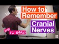Mastering Cranial Nerves Through Memorable Mnemonics