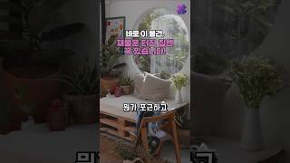 이 물건, 재물운 터진 집엔 꼭 있습니다!🍀 #풍수인테리어 #풍수 #재물운상승 #shorts #운세
