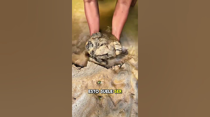 Gold in mud? Check this out 👆🏻💰🤩