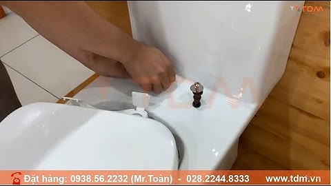 TDM.VN | Hướng dẫn cách lắp đặt thay thế nắp nhựa bồn cầu Viglacera đơn giản dễ làm