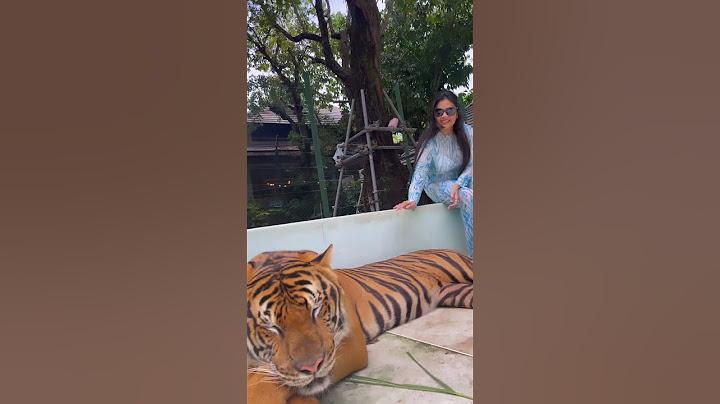 Sreemukhi with Tiger @pattaya #tiger #viral