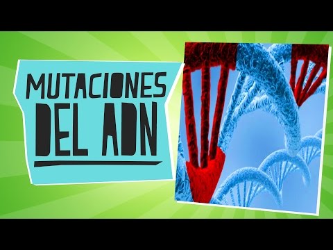 Video: ¿Dónde ocurren las mutaciones en el ADN?