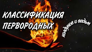 Пандемониум • Классификация Первородных | Woodwalkers Official