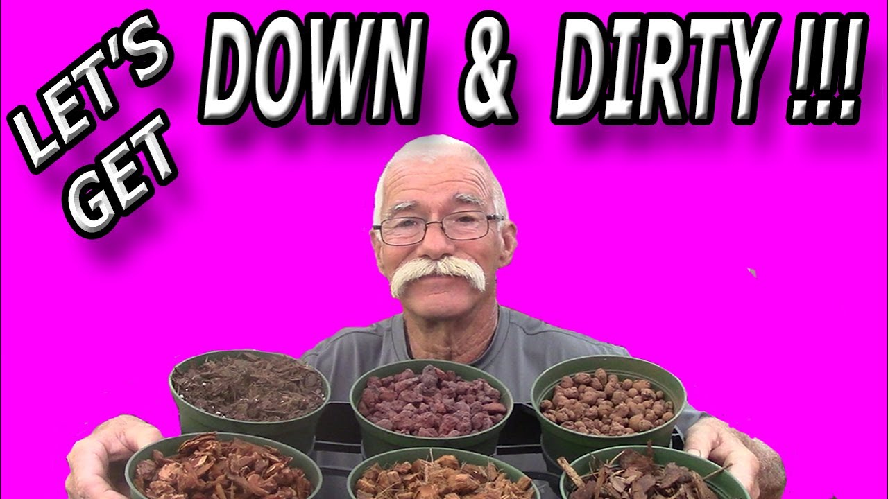 Bromeliad Potting Mixes!