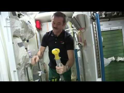 Astronauts Drink Urine and Other Waste Water | Video