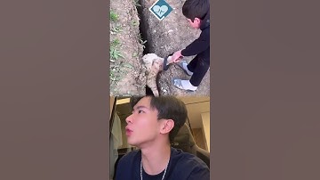 Đây Là Đồng Đội Tôi Khi Vừa Được Cứu Xong ? #ntn03 @RGFFNTN