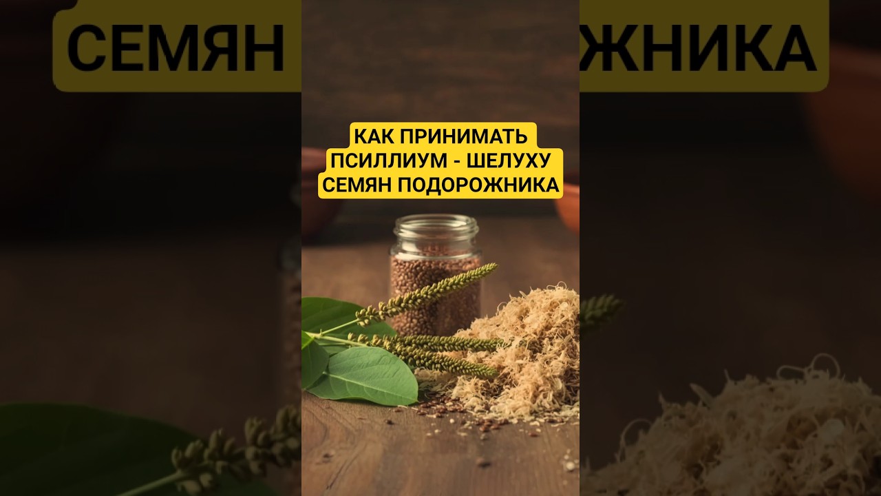 Как принимать псиллиум - шелуху семян подорожника #health #здоровье #healthy #псиллиум #подорожник