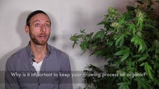 MMMP Industry in Lansing