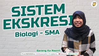 Kelas 11 SMA - Biologi - Sistem Ekskresi - Bimbel Tridaya Online