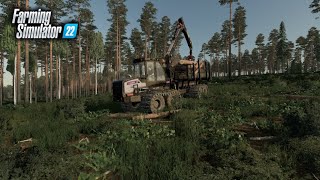 FS22 | EU Forestry on Holmåkra | Bunch of forwarding | EP05 | Mini Series