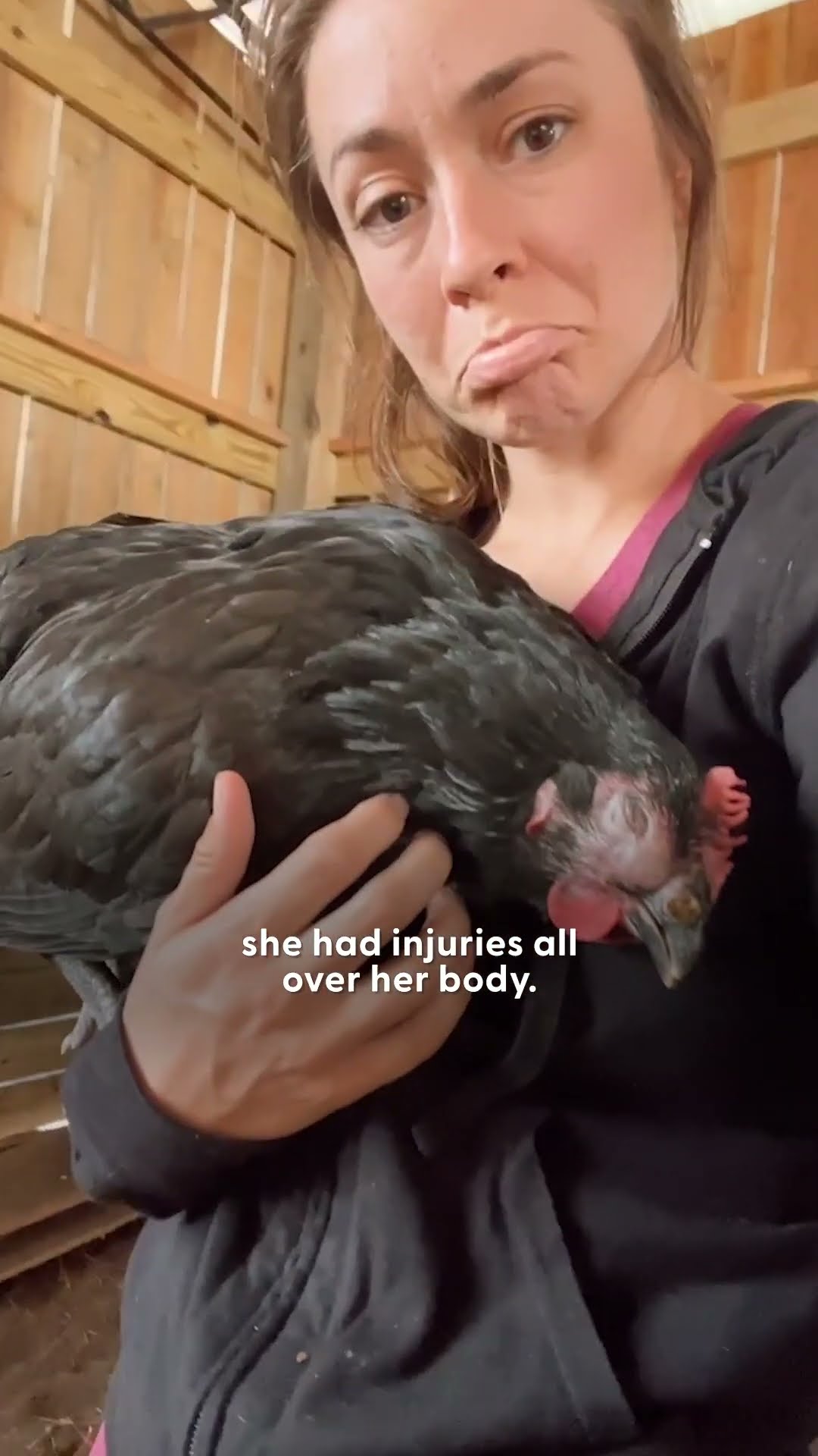 Rescued Chicken Lays Her First Egg And Makes Mom Cry | The Dodo