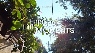 Enjoy Every Little Moment 🌿 | Cinematic Nature Video | Samsung A35 | Aesthetic 4K
