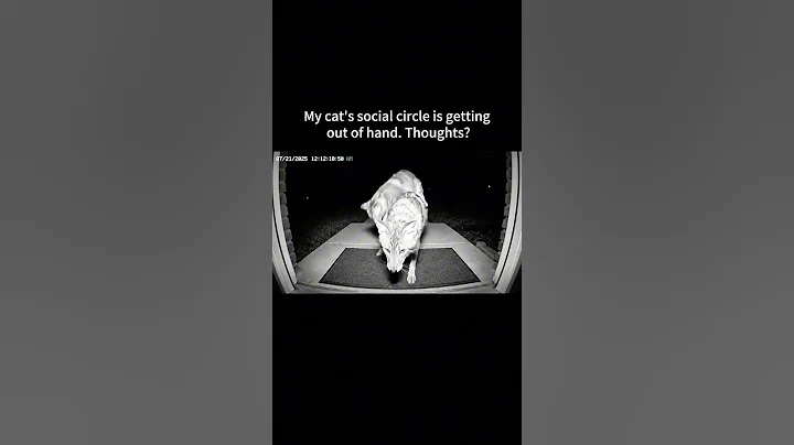 this is getting out of hand