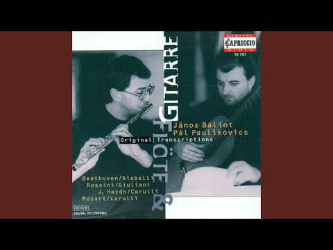 Piano Sonata No. 11 In A Major, K. 331 (arr. A. Traeg) : I. Variation 1