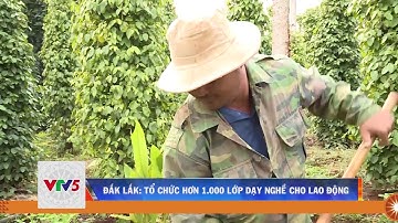 ĐẮK LẮK: TỔ CHỨC HƠN 1.000 LỚP DẠY NGHỀ CHO LAO ĐỘNG NÔNG THÔN