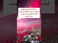 تو این لحظه رو تجربه کردی آرامش از همین لحظه شروع می شود بخشش Self Love تو این لحظه رو تجربه کردی آرامش از همین لحظه شروع می شود بخشش Self Love