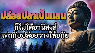 ปล่อยปลาเป็นแสน ก็ไม่ได้อานิสงส์ เท่ากับปล่อยวางให้อภัย | ฟังธรรมะก่อนนอน