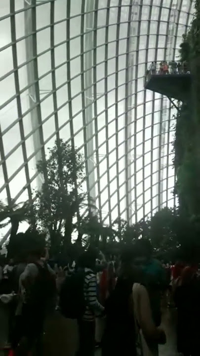 wisata singapore #gardenbythebay #wisata #fyp