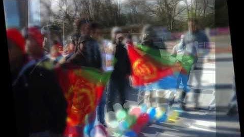 Geneva Demonstration for Democratic Change by Eritreans in Swiss - 08-02-2013