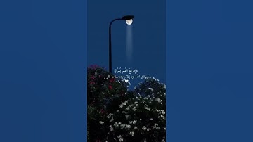 فَإِنَّ مَعَ الْعُسْرِ يُسْرًا إِنَّ مَعَ الْعُسْرِ يُسْرًا|سورة الشرح | اسلام صبحي