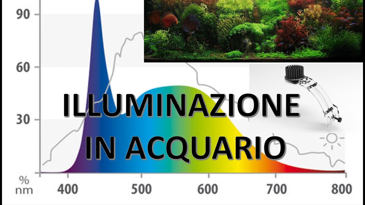 NICREW ILLUMINAZIONE PER Acquario, Plafoniera LED Acquario Dolce