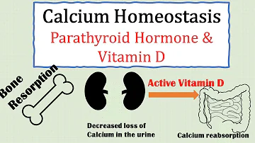 Welche Vitamine bei Hormonstörung?
