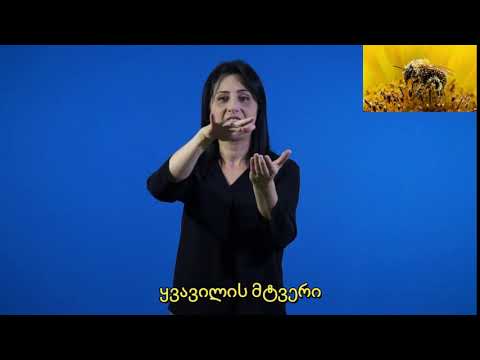 ყვავილის მტვერი