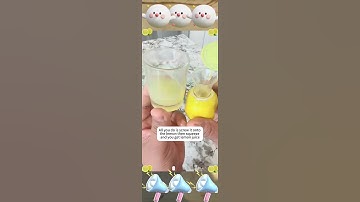 🍋2-pack YZC Lemon Squeezer Easiest way to squeeze a lemon.   #citrusjuicer #founditonamazon