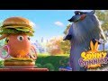 Cartoons for Children | SUNNY BUNNIES - BUGER DYNAMITE | Funny Cartoons For Children