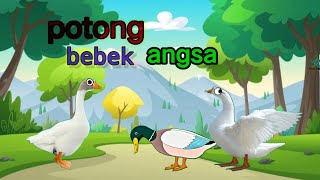 potong bebek angsa | lagu anak Indonesia | animasi bebek dan angsa lagu anak populer