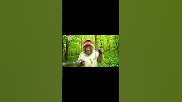 Học, học nữa, học mãi