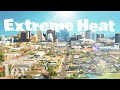 Urban Heat and Tree Canopy Effects