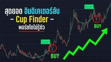 อินดิเคเตอร์ลับที่คุณอาจไม่เคยรู้มาก่อน!! ทำกำไรจุกๆ!! สอนเทรด Indicator On Tradingview - ORC Crypto