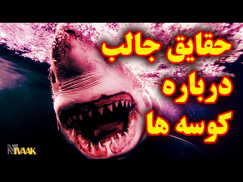 تصویری: گونه های کوسه، نام ها، ویژگی ها و حقایق جالب