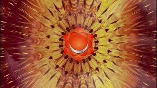 Sacral Chakra