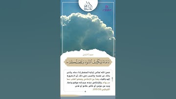 أَمَّن يُجِيبُ الْمُضْطَرَّ إِذَا دَعَاهُ || القارئ : شيرزاد طاهر