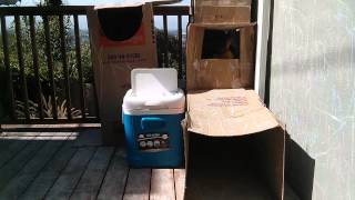 Box Fort