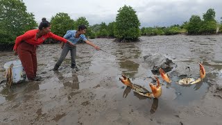 Brave Two Women Found Many Huge Mud Crabs In Muddy after Sea Water Low Tide