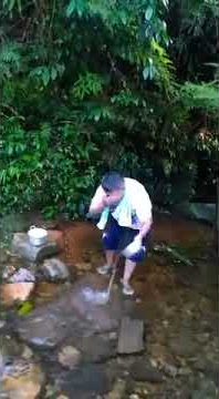 Tercyduk di hutan
