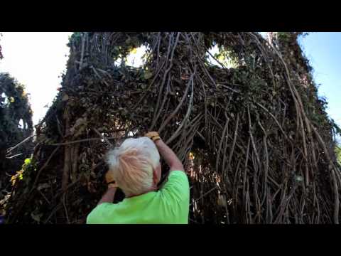 Stickworks: Patrick Dougherty at the Bascom