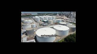 Global Market Update: Energy Sector Shifts, Tech Stock Gains, and S&P 500 Drivers