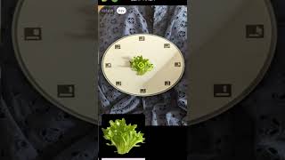 Segmentation in Petiole Pro: Lettuce Leaf Area Measurement with Computer Vision and AI screenshot 3