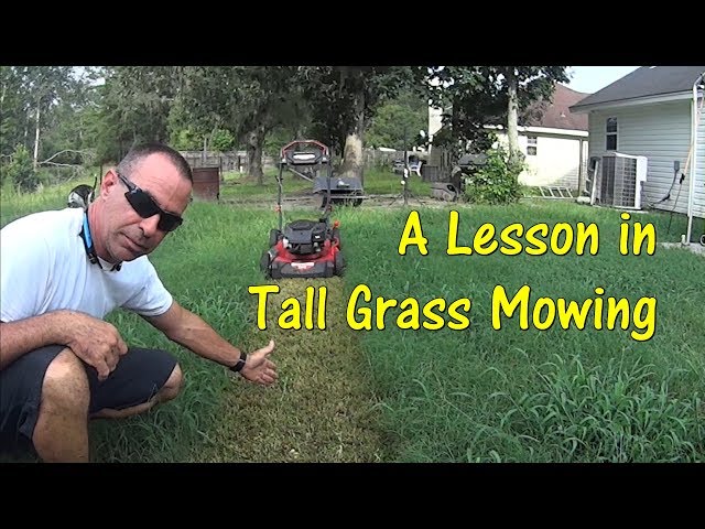 Pt 1 How To Cut Tall Grass with Cheap Lawn Mower -  Mowing Tall Overgrown Grass class=