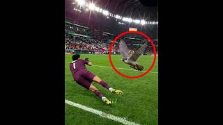Impossible World Cup Saves 🤯🔥