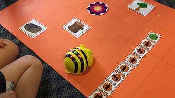 Learning to Code with Bee-Bots