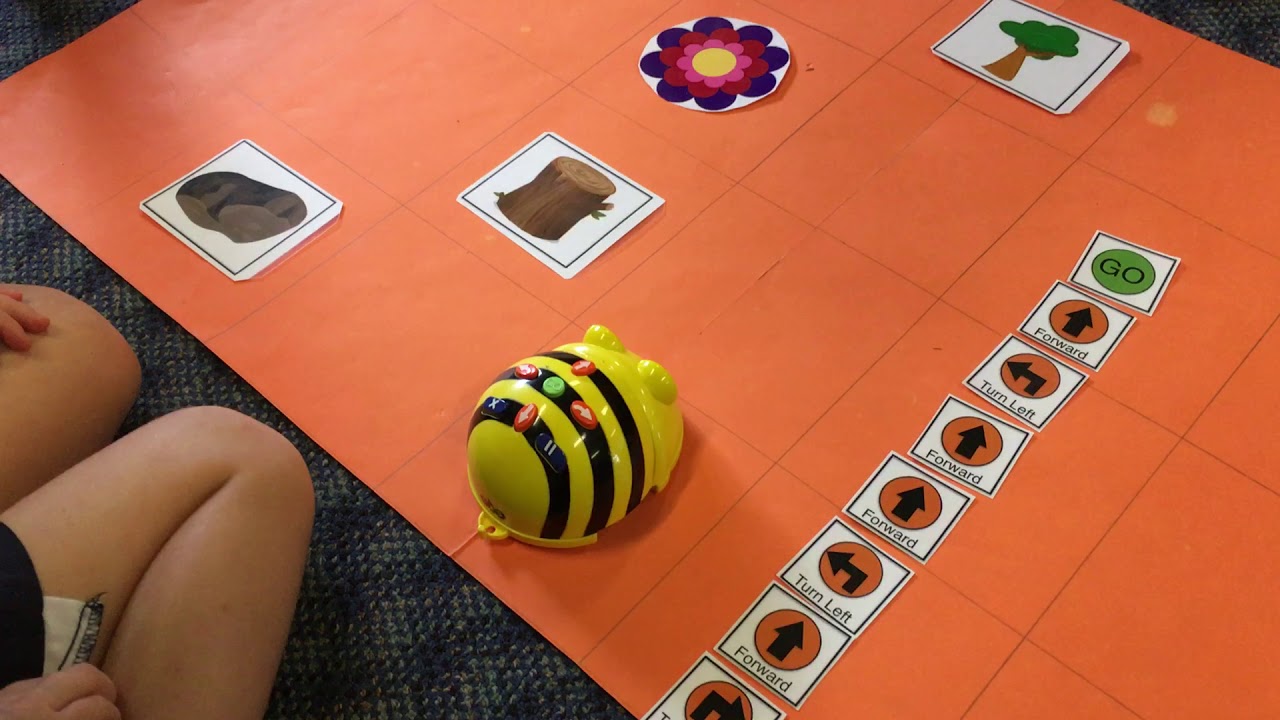 Learning to code with bee bots youtube