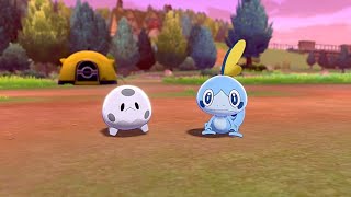 Camping With Sobble \& Galarian Corsola Together - Pokemon Sword \& Shield