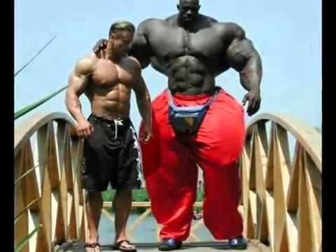 Incredible hulk steroids