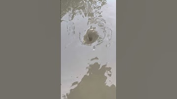 Amazing Water Vortex Experiment!? #whrilpool #experiment #satisfyingvideo #vortex #satisfying.