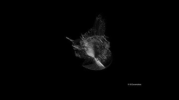 crescendo. Test  Made with Jitter using shaders .